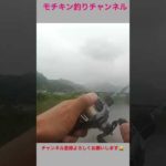 【ナマズ釣り】ナマズ！バイトシーン‼️最強バスベイトに食らいつく！迫力の捕食音！#shorts