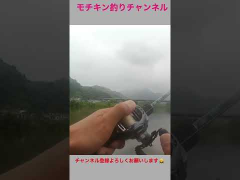 【ナマズ釣り】ナマズ!バイトシーン‼️最強バスベイトに食らいつく!迫力の捕食音!#shorts