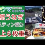 【激うまキャンプ飯】うなぎ釣り師のキャンプ飯は特上うなぎメスティン
