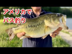 アメリカでバス釣り　ゲーリーのファットイカがヤバイ