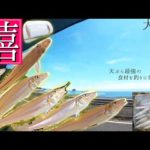 簡単に釣れてしかも最高に美味い。【キス釣り】