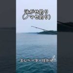 【泳がせ釣り(ノマセ釣り)】で生きエサが動いて、竿先が動いています。本命が近くにいるときには、エサが暴れてもっと動きます。本命がきたら、ギュイン！と竿が曲がり込みますよ〜