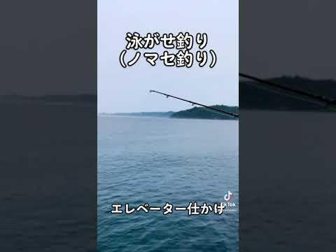 【泳がせ釣り(ノマセ釣り)】で生きエサが動いて、竿先が動いています。本命が近くにいるときには、エサが暴れてもっと動きます。本命がきたら、ギュイン！と竿が曲がり込みますよ〜