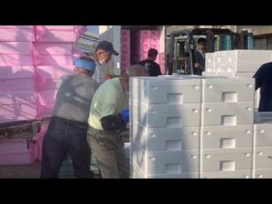 20220622 富来漁港⚓️イカ釣り漁船🛥🦑荷揚げ風景📱🦑🦑🦑🦑🦑