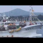 20220622 圧巻‼️イカ釣り漁船🛥🦑一斉出漁🛥💨🛥🛥💨🛥🛥🛥💨