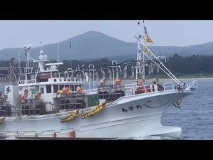 20220622 圧巻‼️イカ釣り漁船🛥🦑一斉出漁🛥💨🛥🛥💨🛥🛥🛥💨