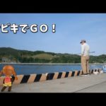 サビキ釣りに行ったら違うのが釣れた【前編】