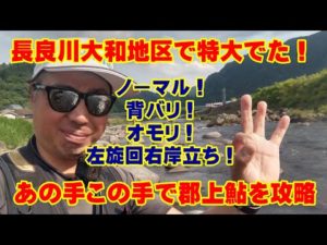 郡上鮎釣り！長良川の郡上市大和地区を休憩時間に攻めてきたら思わぬ釣果！