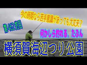 釣り動画ロマンを求めて 462釣目