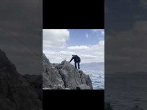 海にスマホ落としました。#ガット船長#磯釣り#上カゴ釣り