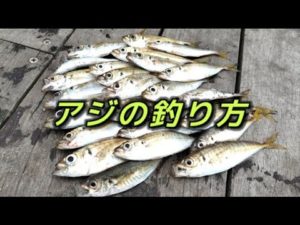 【アジ釣り】これさえ理解すればアジ爆釣！簡単に釣れるコツを掴め！