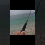 キス釣りの一投目が衝撃の結果に #Short