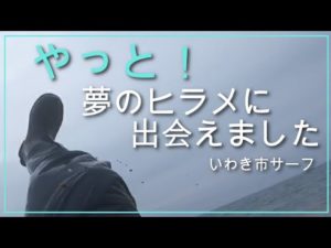 いわき市釣り 夢のヒラメにやっと出会えました #ヒラメ #サーフ #釣り