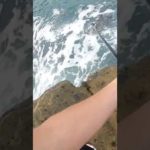 白い服で釣りに行ったら最後に思いっきりイカれた。#shorts#釣り#ヤエン釣り