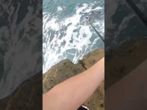 白い服で釣りに行ったら最後に思いっきりイカれた。#shorts#釣り#ヤエン釣り