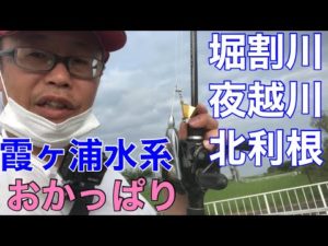 【霞ヶ浦水系】堀割川　夜越川　北利根川　梅雨のバス釣り2022年6月26日