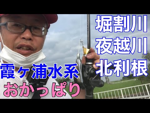 【霞ヶ浦水系】堀割川　夜越川　北利根川　梅雨のバス釣り2022年6月26日