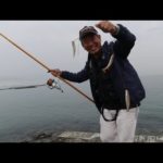 簡単　キス釣り