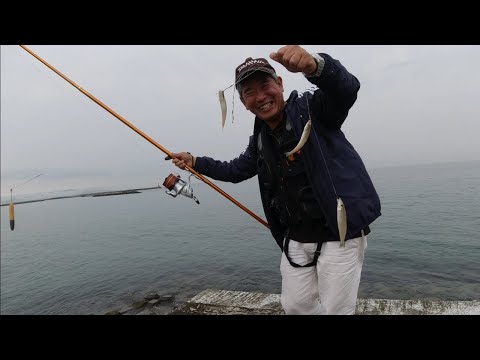 簡単　キス釣り