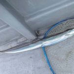 【釣りあるある】なんだかんだ回収巻きが1番釣れる #Shorts