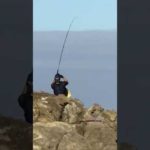 #ショアジギング #釣り