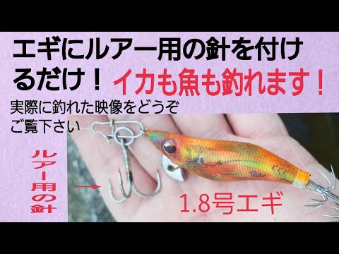 実釣り動画【イカも魚も狙えるエギング】普通のエギにスナップでルアー針を付けるだけ！！ 長崎県エギング チニング