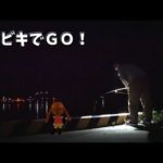 サバ釣りに行ったら違うのが釣れた【後編】