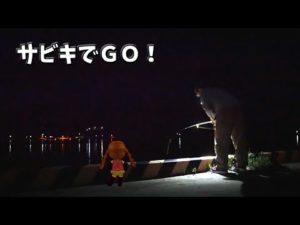 サバ釣りに行ったら違うのが釣れた【後編】