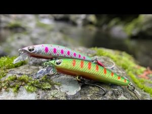 【渓流釣り】シルバークリークミノーダートカスタム53sが凄い…