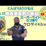 @熱海港海釣り施設　ライトカゴ釣りサビキ釣り