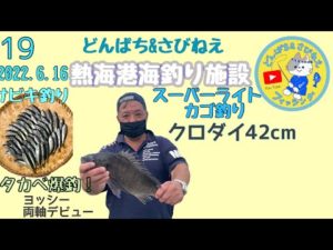@熱海港海釣り施設　ライトカゴ釣りサビキ釣り