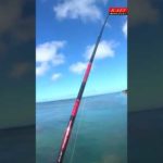 KAEI釣りテレビジョン　きれいなクサバー　映ってないけど　ココゾエビ