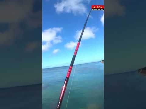 KAEI釣りテレビジョン　きれいなクサバー　映ってないけど　ココゾエビ