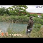 八王子市 小津（おず）川で小物釣り。多摩川ー浅川ー北浅川の支流です。
