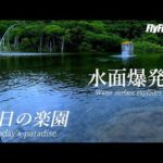 【ニジマス釣り】2022  ビックトラウトを狙え!! FLOATER＆FLYFISHING  今日の楽園  北海道釣り　It's My Life