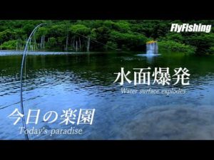 【ニジマス釣り】2022 ビックトラウトを狙え!! FLOATER&FLYFISHING 今日の楽園 北海道釣り It's My Life