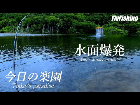 【ニジマス釣り】2022  ビックトラウトを狙え!! FLOATER＆FLYFISHING  今日の楽園  北海道釣り　It's My Life
