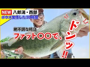 ボウズは嫌だ！そう思ってるバス釣り初心者さんに知ってほしい！！無反応で困ったときほど頼りになる最強名作ルアー！ファットイカ！難しいこと考えなくてもつれてくれるので大好きなルアーです！