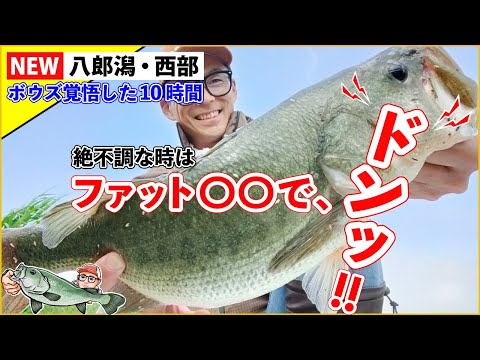 ボウズは嫌だ!そう思ってるバス釣り初心者さんに知ってほしい!!無反応で困ったときほど頼りになる最強名作ルアー!ファットイカ!難しいこと考えなくてもつれてくれるので大好きなルアーです!