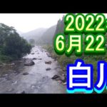 鮎釣り 白川 小澤剛 友釣り無双 2022年