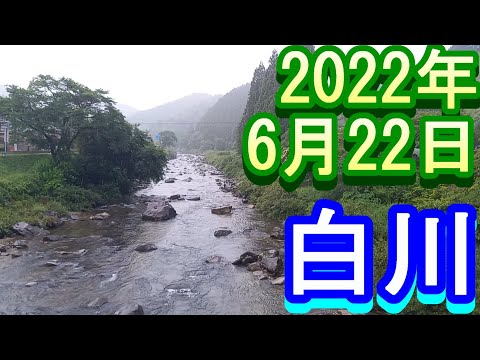 鮎釣り 白川 小澤剛 友釣り無双 2022年