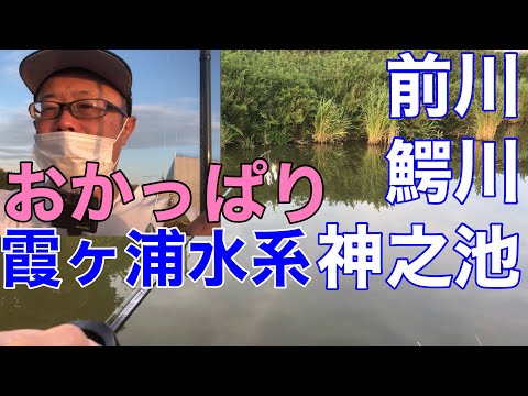 【霞ヶ浦水系】今日のバス釣りポイントガイドマップ2022年6月29日