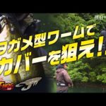 【バス釣り】話題のタガメ型ワームでビックバスを狙え！【つり人チャンネル】