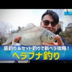 「和のゲームフィッシング・ヘラブナ釣り～底釣り＆セット釣りで新ベラ攻略～」釣り名人の秘密を暴け！第52回