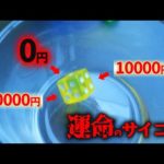 まさに天国と地獄の分かれ道…まさかの出目に相方発狂！？【近畿地方一周#6】