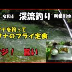 令和４  ５/３０渓流釣り  イワナのフライ定食  アウトドア料理