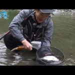 【釣り百景】#438 本流尺ヤマメを求めて 宮崎県五ヶ瀬川に名手が挑む
