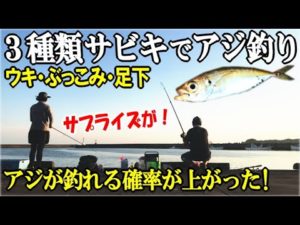 【ウキ・ぶっこみ・足下】３種類のサビキでアジ釣り！状況にあわせて釣り方を変えるとアジを逃がさず釣果アップ！まさかのサプライズであの魚が・・・