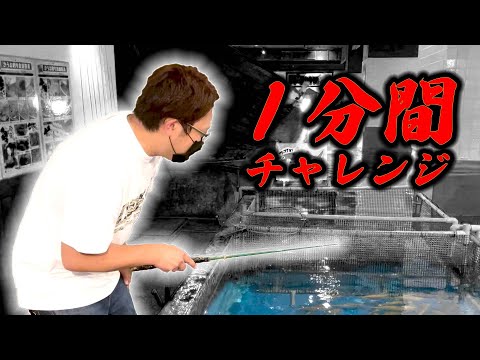 【アジのひっかけ釣り】『ざうお』で一分間アジ釣りチャレンジ【DRESS fishing videos】