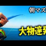 【釣り】離島の朝マズメでアジを泳がせたら...